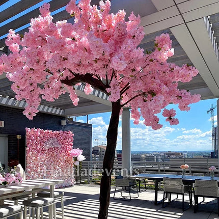 Dogwood Tree 11ft - Rental