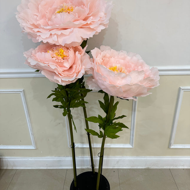 Giant Light Pink Peony Set- Rental