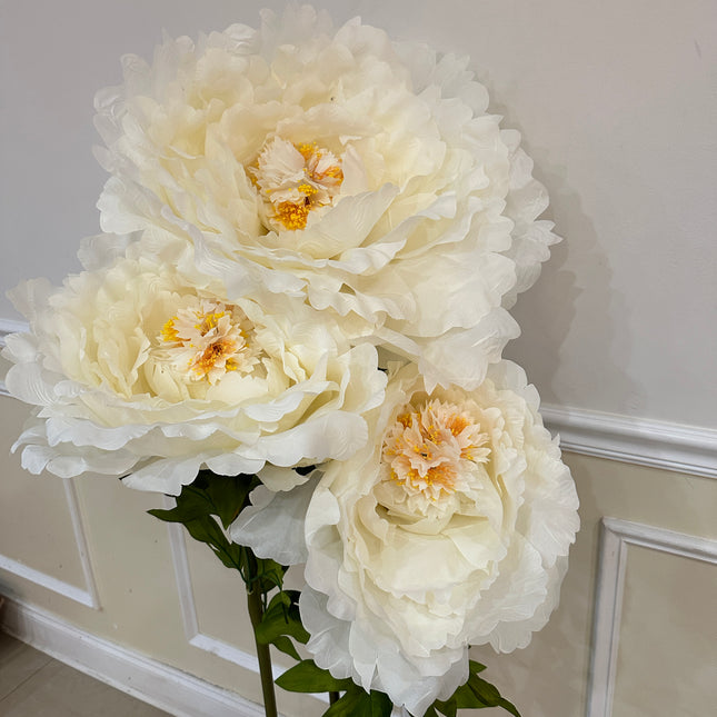 Giant White Peony Set- Rental