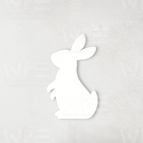 Curious Bunny