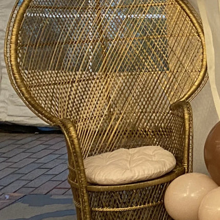 Peacock Chair - Rental